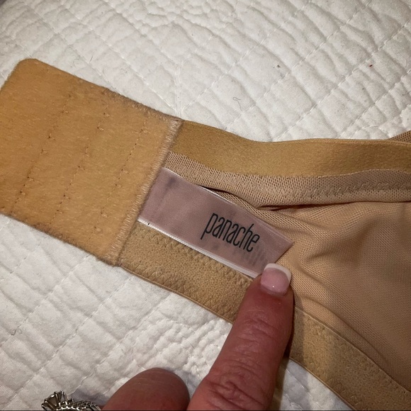 Pinache Bra - Picture 3 of 4